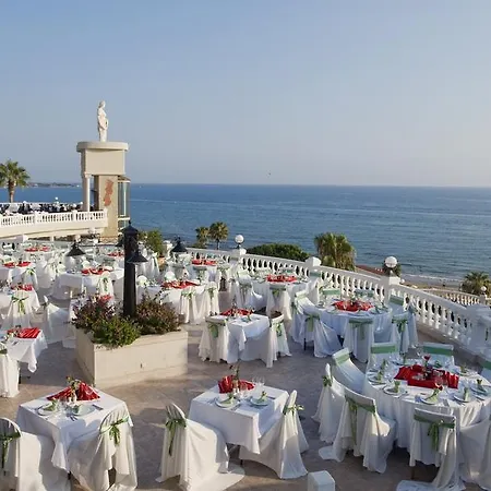 Sunrise Queen Luxury シダ