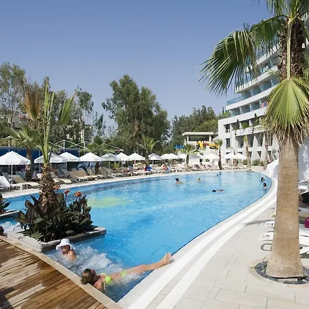 Sunrise Queen Luxury シダ